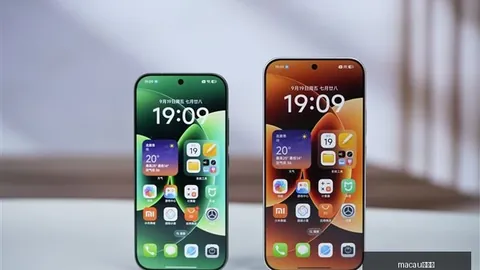 篮球秘籍独家赛事分析：全面得分与胜负